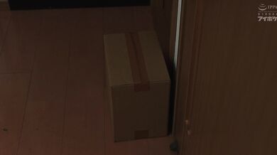 IPZZ-301 Wanting to become friends with a girl working late at night at a local convenience store, he becomes a stalker. Confinement and play in the play's room at his parents' house Saki Sasaki